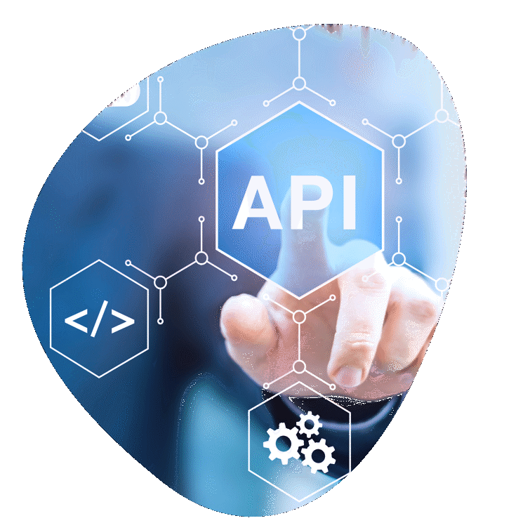 incwo Services, développement sur mesure et connexion API